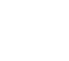 Logo for San Jacinto Museum